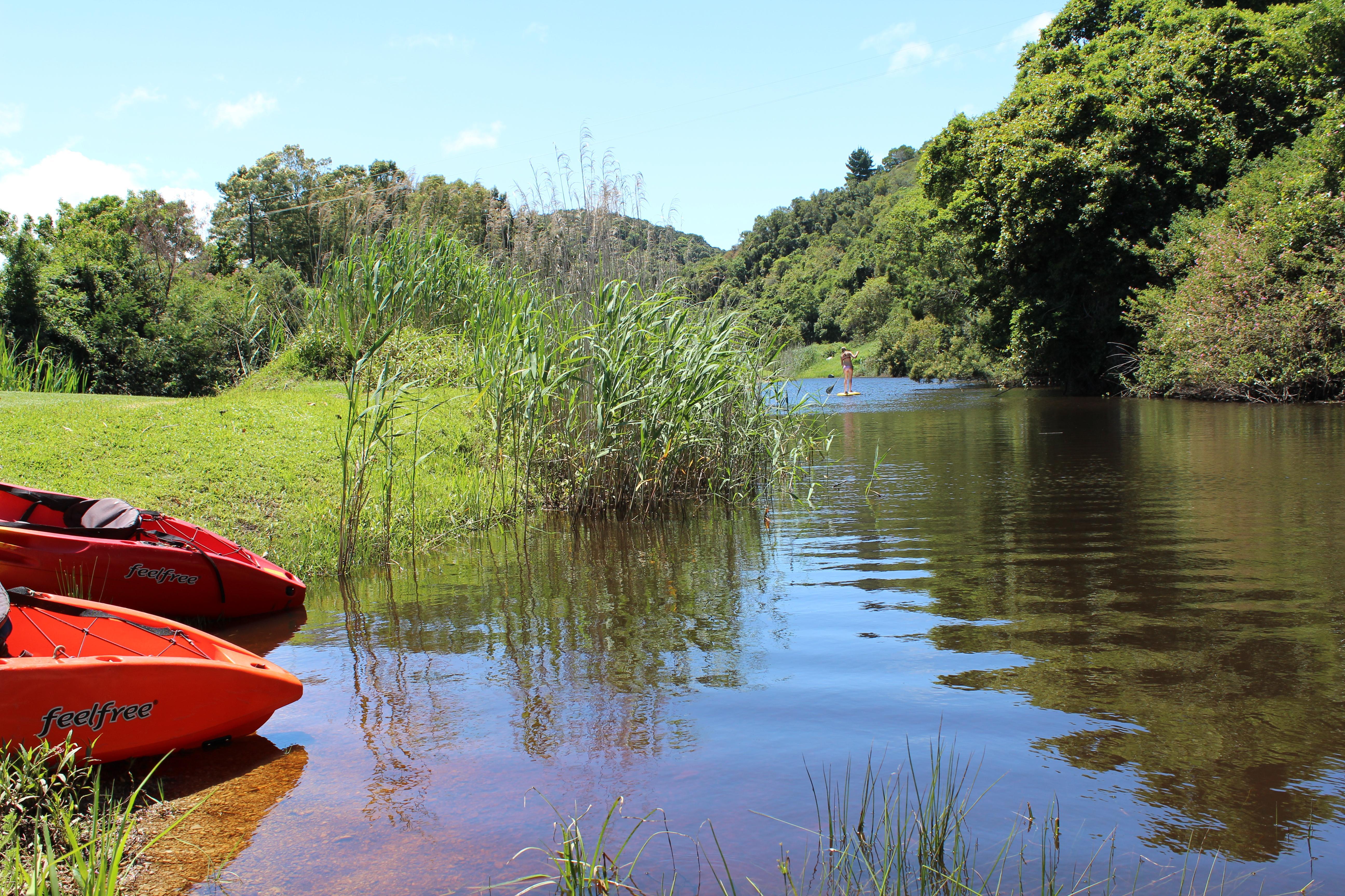 Blackwaters River Lodge, Knysna Exterior foto